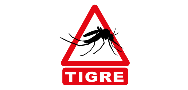Le moustique tigre signalé à Gagny !